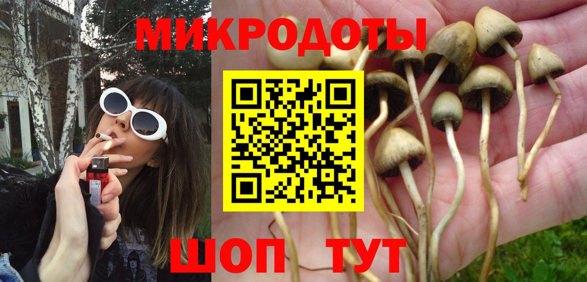 Галлюциногенные грибы Psilocybine cubensis  где купить наркотик  Кириши  Вход с VPN  Псилоцибиновые грибы Cubensis 