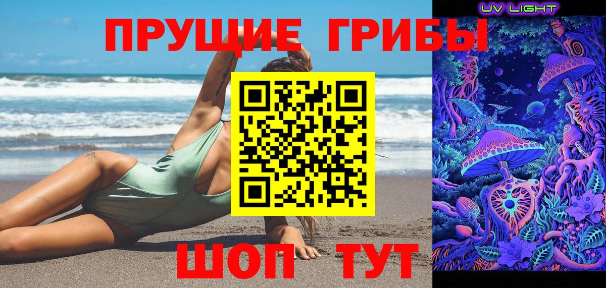 Галлюциногенные грибы Psilocybine cubensis Кириши